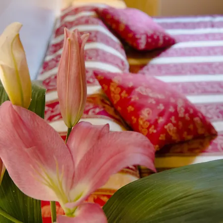 Couette-café Domus Trevi 4*